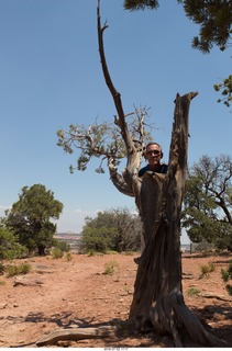 Karen's picture - Shaun in a tree