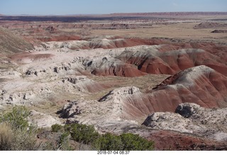 Petrified Forest National Park - Painted Desert vista view