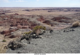 36 a03. Petrified Forest National Park - Painted Desert vista view