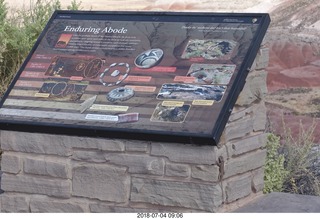 Petrified Forest National Park sign - lizard