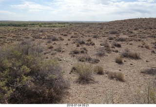 61 a03. Petrified Forest National Park