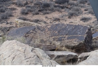 Petrified Forest National Park - petroglyphs