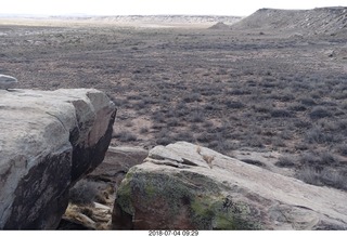 Petrified Forest National Park