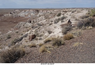 97 a03. Petrified Forest National Park - blue mesa area