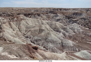 Petrified Forest National Park