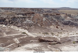 Petrified Forest National Park