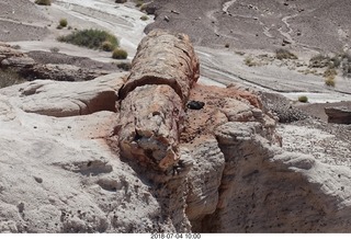 102 a03. Petrified Forest National Park - my first petrified tree