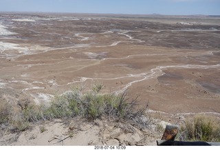 Petrified Forest National Park - Blue Mesa hike