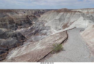 Petrified Forest National Park - Blue Mesa