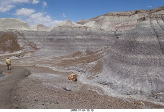 Petrified Forest National Park - Blue Mesa hike