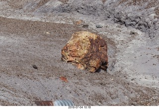 Petrified Forest National Park - Blue Mesa hike + petrified logs