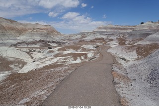 144 a03. Petrified Forest National Park - Blue Mesa hike