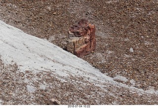 148 a03. Petrified Forest National Park - Blue Mesa hike + log