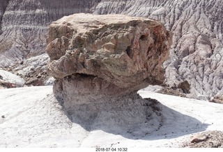 166 a03. Petrified Forest National Park - Blue Mesa hike + petrified log