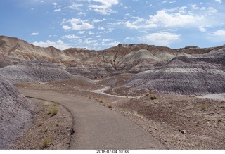 168 a03. Petrified Forest National Park - Blue Mesa hike