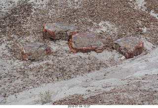 177 a03. Petrified Forest National Park - Blue Mesa hike + logs