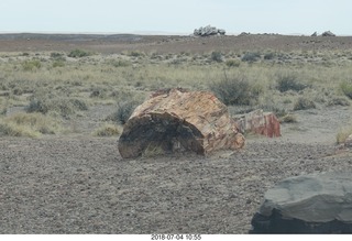 181 a03. Petrified Forest National Park - Blue Mesa hike  + logs