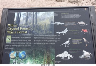 196 a03. Petrified Forest National Park - Crystal Forest hike sign