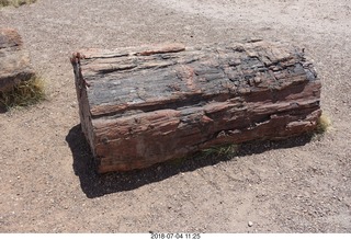 197 a03. Petrified Forest National Park - Crystal Forest hike + petrified log