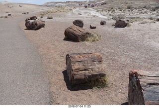 198 a03. Petrified Forest National Park - Crystal Forest hike + petrified logs