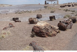 199 a03. Petrified Forest National Park - Crystal Forest hike + petrified logs