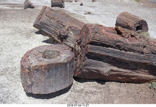 211 a03. Petrified Forest National Park - Crystal Forest hike + petrified logs