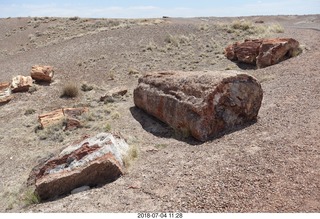 214 a03. Petrified Forest National Park - Crystal Forest hike + petrified logs