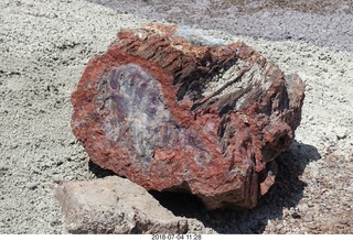 215 a03. Petrified Forest National Park - Crystal Forest hike + petrified log