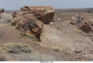 236 a03. Petrified Forest National Park - Crystal Forest hike + petrified logs