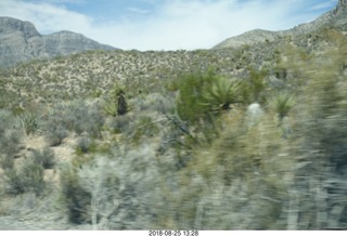 Las Vegas - Red Rock Canyon - thirteen mile drive