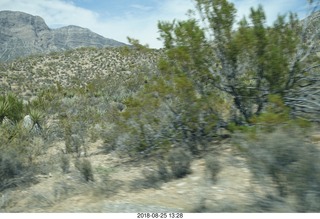 Las Vegas - Red Rock Canyon - thirteen mile drive