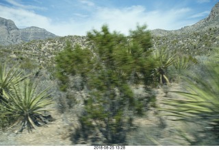 Las Vegas - Red Rock Canyon - thirteen mile drive