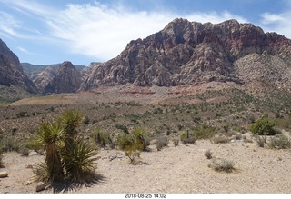 Las Vegas - Red Rock Canyon - thirteen mile drive - Pine Creek Canyon hike