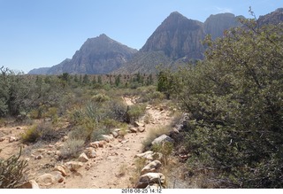 Las Vegas - Red Rock Canyon - thirteen mile drive - Pine Creek Canyon hike