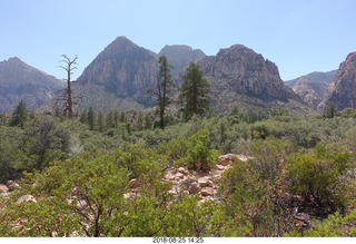 Las Vegas - Red Rock Canyon - thirteen mile drive - Pine Creek Canyon hike