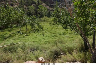 Las Vegas - Red Rock Canyon - thirteen mile drive - Pine Creek Canyon hike