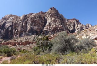 Las Vegas - Red Rock Canyon - thirteen mile drive - Pine Creek Canyon hike