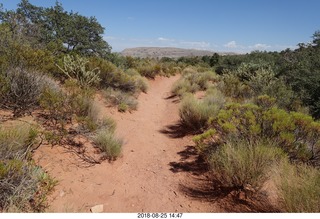 Las Vegas - Red Rock Canyon - thirteen mile drive - Pine Creek Canyon hike