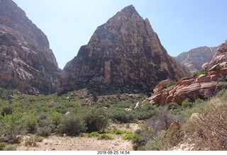 Las Vegas - Red Rock Canyon - thirteen mile drive - Pine Creek Canyon hike