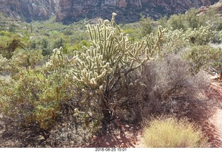 Las Vegas - Red Rock Canyon - thirteen mile drive - Pine Creek Canyon hike