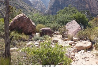 Las Vegas - Red Rock Canyon - thirteen mile drive - Pine Creek Canyon hike