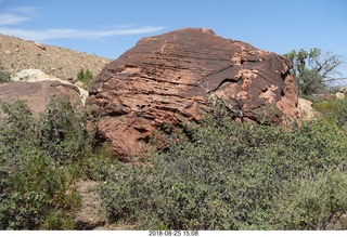 Las Vegas - Red Rock Canyon - thirteen mile drive - Pine Creek Canyon hike - cool rock