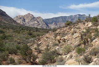 Las Vegas - Red Rock Canyon - thirteen mile drive - Pine Creek Canyon hike