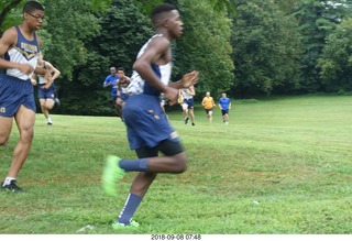 Curtis Arboretum - Cheltenham XC alumni race