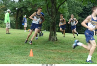 Curtis Arboretum - Cheltenham XC alumni race