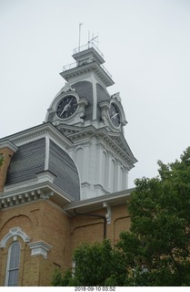 Hillsdale College - tree