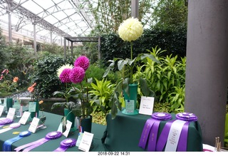 244 a05. Schubels - Longwood Gardens - flower