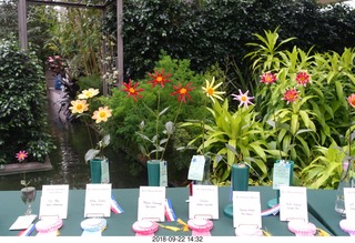 Schubels - Longwood Gardens - flowers