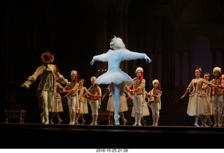 Arizona Ballet - Sleeping Beauty