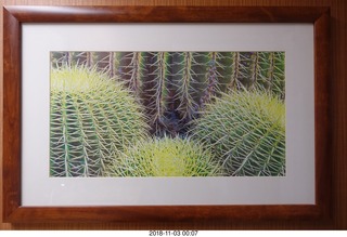 cactus pictures in hotel room